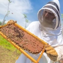Donate a honeybox to Heifer
