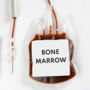 Donate bone marrow