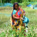 Help BEDS restore mangroves for coastal protection