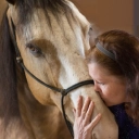 Help neglected horses