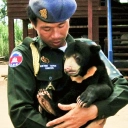 Help combat wildlife trafficking