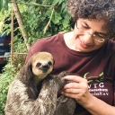 Help Green Heritage Fund Suriname save the sloths