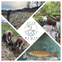 Donate to Salmon Recovery